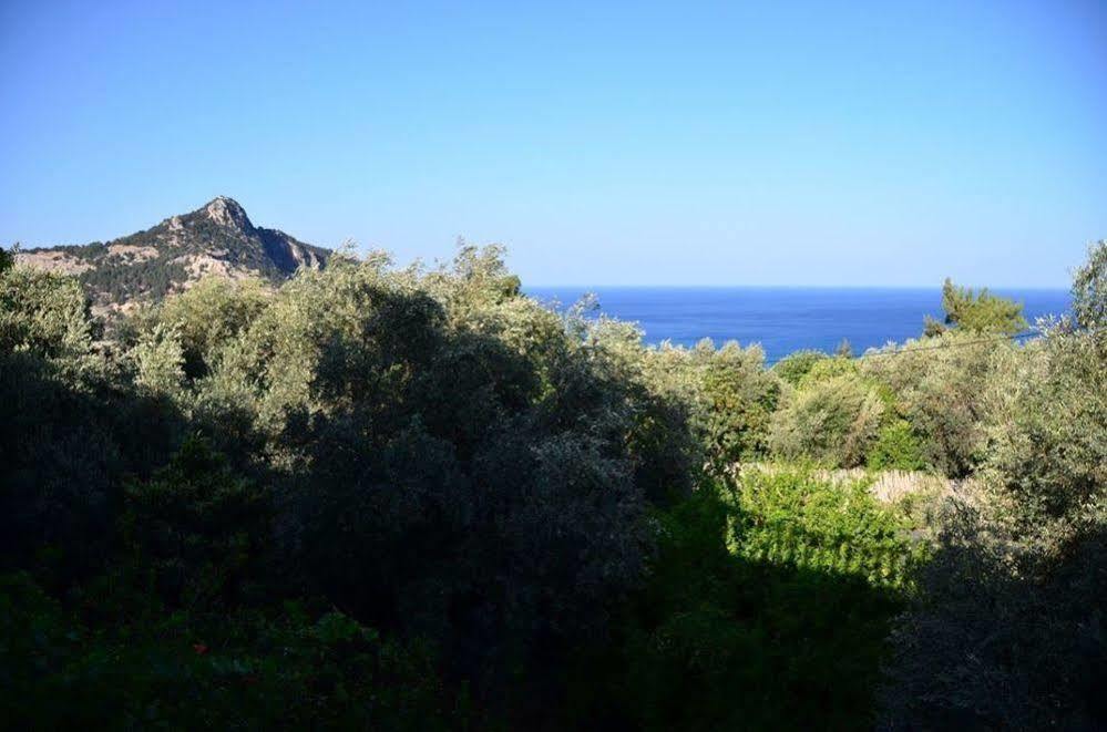 Panorama Studios Archangelos  Exterior photo